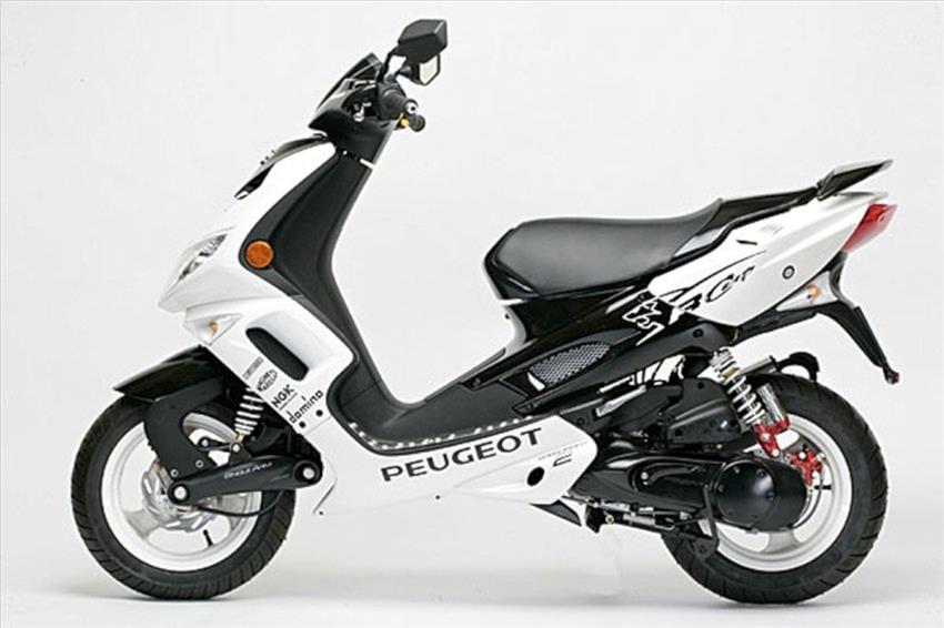 Peugeot Speedfight2 50 R Cup (Aria)