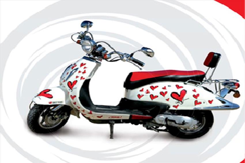 HDM Spring 50 Sweet Years