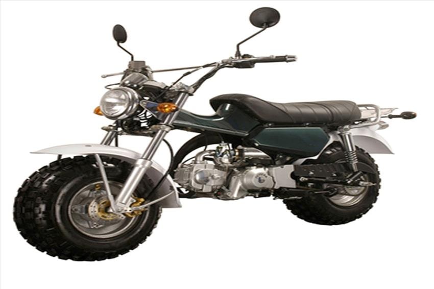 GiPuma T-Rex 125