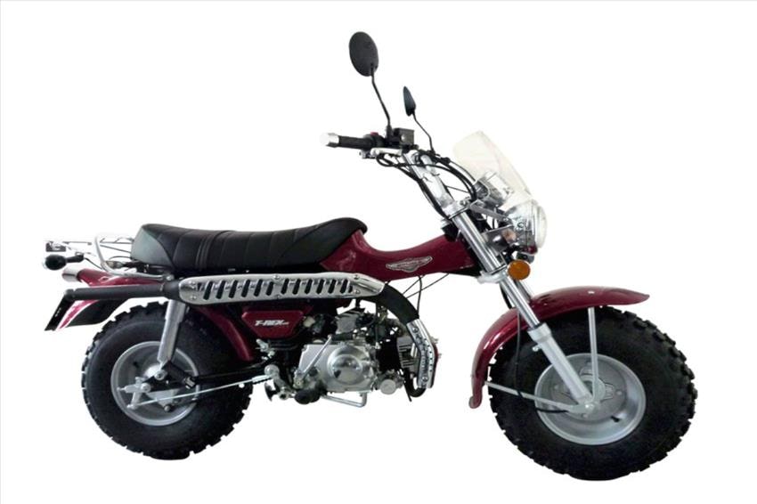 GiPuma T-Rex 125