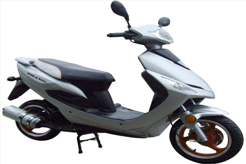 GiMotori Koala 50