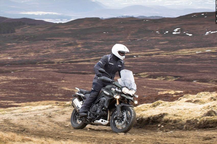 Triumph Tiger 1215 Explorer XC SE
