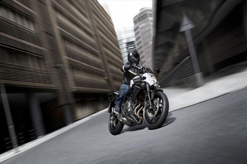 Kawasaki ER 6N ABS 35kW