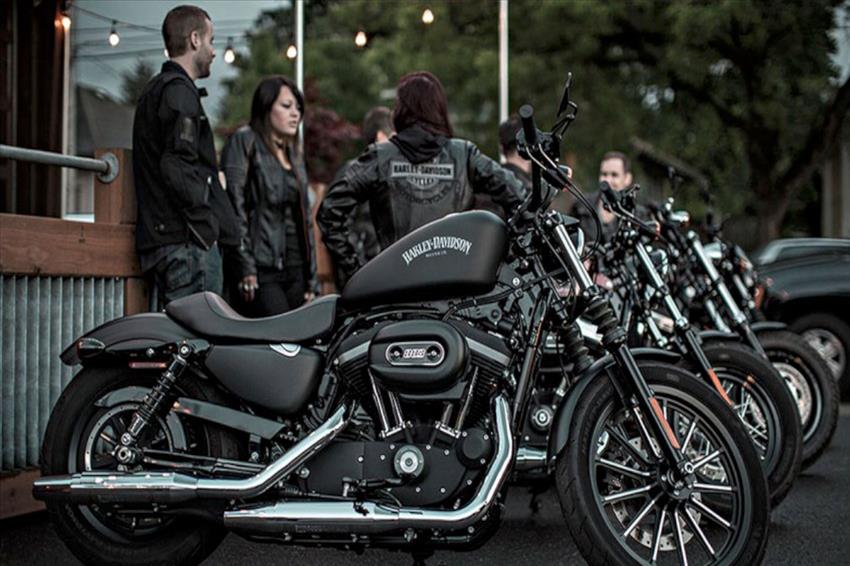 Harley-Davidson Sportster 883 XL 883N Iron