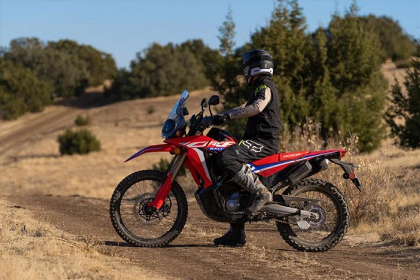 Honda CRF 300 Rally ABS