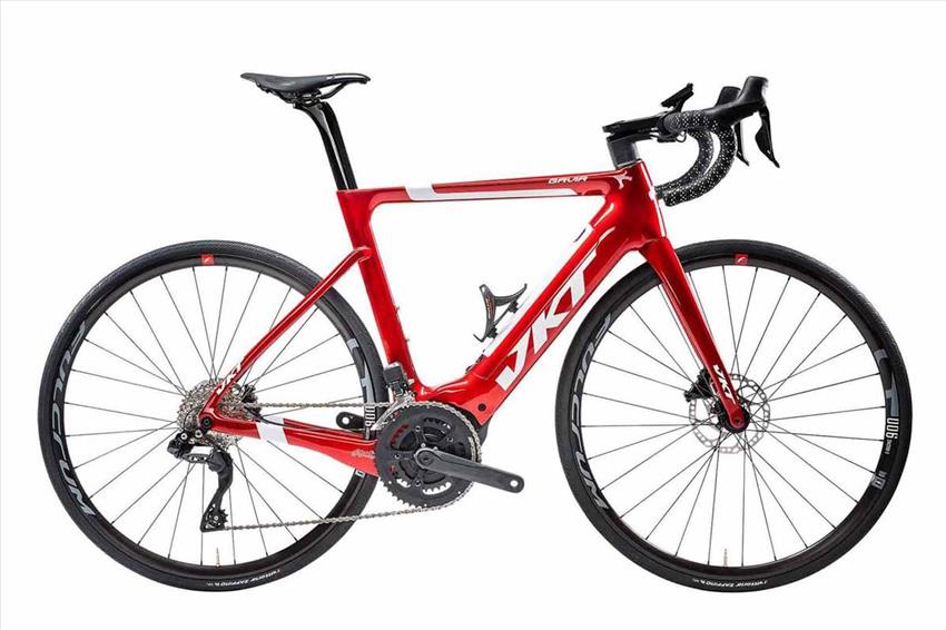 GAVIA